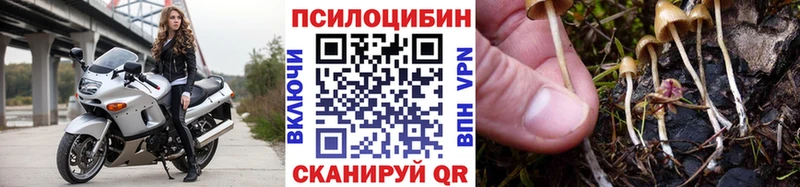 Галлюциногенные грибы Magic Shrooms  Рубцовск 